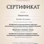 Сертификат - Абрамочкин Евгений Викторович