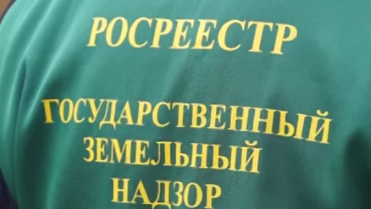 Юрист Хаулин Андрей Анатольевич объясняет: Земельные участки: Росреестр напомнил о частых нарушениях владельцев земли