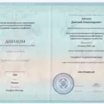 Диплом 3 - Шеклов Дмитрий Александрович