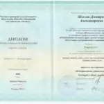 Диплом 5 - Шеклов Дмитрий Александрович