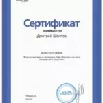 Сертификат - Шеклов Дмитрий Александрович