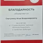 Благодарность - Сергунин Илья Владимирович