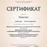 Сертификат 3 - Никулин Дмитрий Александрович
