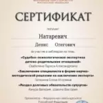 Сертификат 2 - Натаревич Денис Олегович