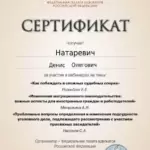 Сертификат 4 - Натаревич Денис Олегович