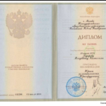 Диплом: РосНОУ , 2008 — Гадиров М.К.