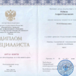 Диплом: МГЮА — Московский государственный юридический университет имени О.Е. Кутафина, 2015 — Рабизов А.Н.