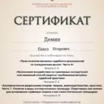Сертификат 2 - Демин Павел Игоревич