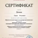 Сертификат 3 - Демин Павел Игоревич