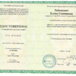 Диплом по налогам - Рабинович Елена Семеновна