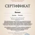 Сертификат 6 - Белых Эдуард Юрьевич