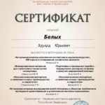 Сертификат 7 - Белых Эдуард Юрьевич