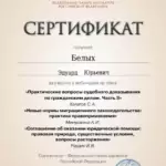 Сертификат 8 - Белых Эдуард Юрьевич