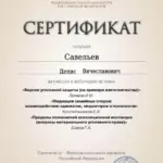 Сертификат 20 - Савельев Денис Вячеславович