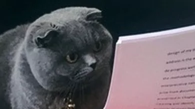 Ответственность за неуплату алиментов: папочка, как насчёт неустойки