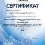 Сертификат 12 - Горбачев Александр Михайлович