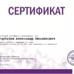 Сертификат 13 - Горбачев Александр Михайлович