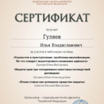 Сертификат 8 - Гуляев Илья Владиславович