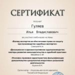Сертификат 5 - Гуляев Илья Владиславович
