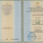 Диплом: Дальневосточный юридический институт Министерства внутренних дел Российской Федерации, 2006 — Мальцев В.М.