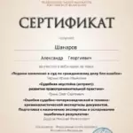 Сертификат 13 - Шанаров Александр Георгиевич