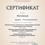 Сертификат 3 - Магомедов Шамиль Магомедзакирович