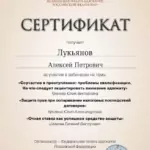 Сертификат 28 - Лукьянов Алексей Петрович