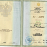 Диплом - Фролович Роман Геннадьевич