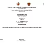 Сертификат - Трифонов Вадим Викторович