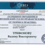 Сертификат - Трифонов Вадим Викторович