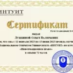 Сертификат Инф.право - Лужбина Ольга Валерьевна