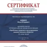 Сертификат 2 - Шишко Илья Игоревич