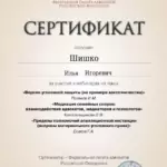 Сертификат 3 - Шишко Илья Игоревич