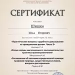 Сертификат 4 - Шишко Илья Игоревич