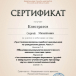 Сертификат - Елистратов Сергей Михайлович