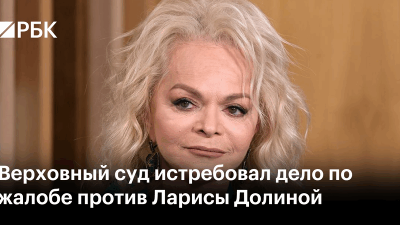 Юрист Берковская Виктория Олеговна объясняет: Ситуация со сделкой Ларисы Долиной. Прогнозы и перспективы
