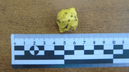 Парадокс 228 УК РФ: заказал «небольшую» дозу, получил «крупный» срок