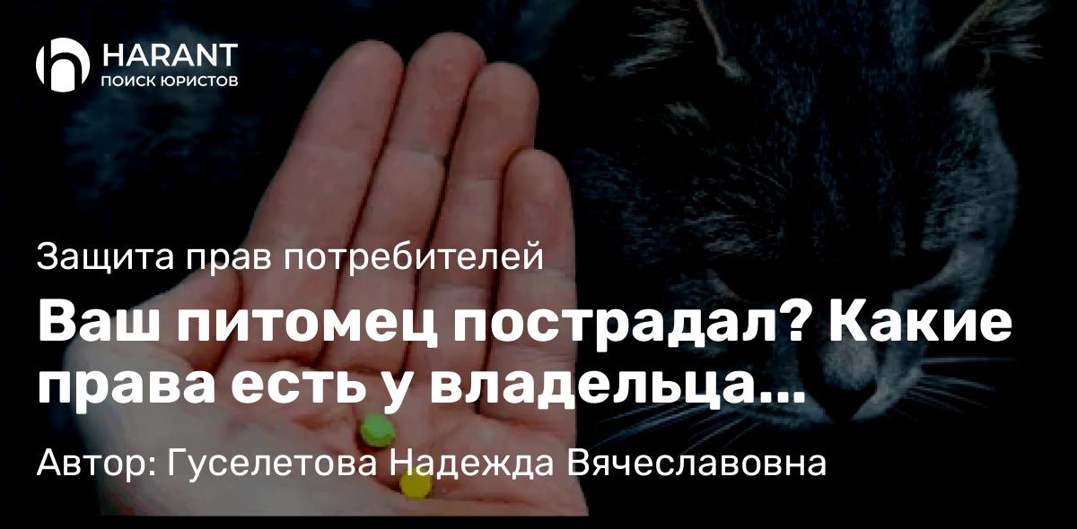 Юрист Гуселетова Надежда Вячеславовна объясняет: Ваш питомец пострадал? Какие права есть у владельца животного и как их защитить