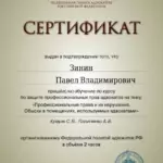 Сертификат - Зинин Павел Владимирович