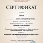 Сертификат - Зинин Павел Владимирович