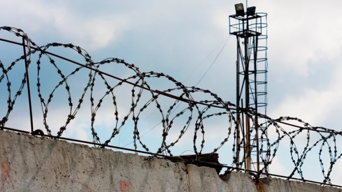 Адвокат Казаков Виктор Викторович объясняет: Замена неотбытой части лишения свободы на более мягкое наказание: правовые основания и условия