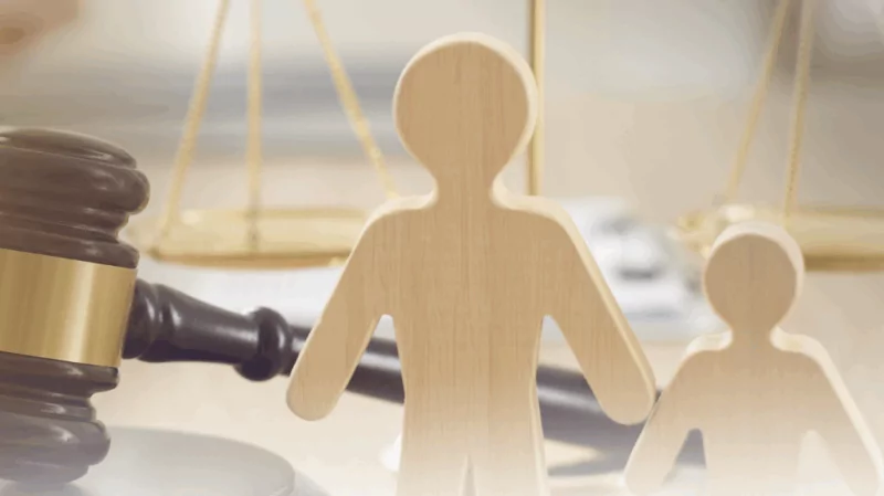 Юрист Федосеева Алена Владимировна объясняет: Значение психологических экспертиз в спорах по детям