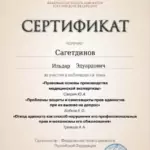 Сертификат 2 - Сагетдинов Ильдар Эдуардович