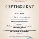 Сертификат 6 - Стрелков Сергей Александрович