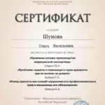 Сертификат 3 - Шумова Ольга Васильевна