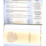 Диплом - Чайковский Александр Васильевич