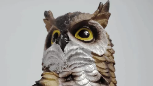 Когда закон видит вашу жизнь, а не бумажки. История дома, который ждал хозяина 30 лет