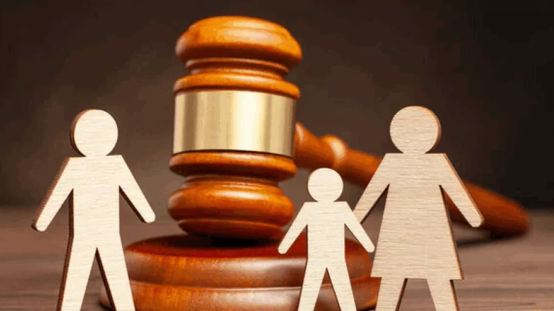 Юрист Панькова Ксения Владимировна объясняет: Алименты с самозанятого: алгоритм взыскания