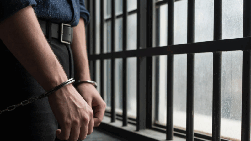 Адвокат Сизоненко Александр Аркадьевич объясняет: Изменение заключения под стражу для предпринимателя на домашний арест