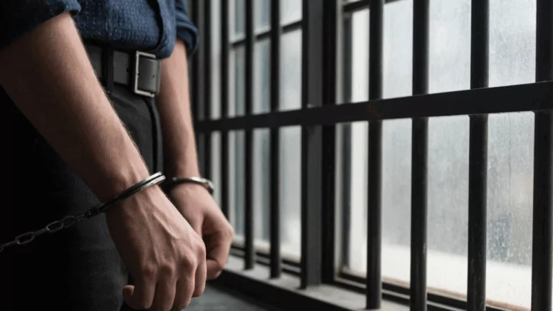 Адвокат Сизоненко Александр Аркадьевич объясняет: Изменение заключения под стражу для предпринимателя на домашний арест